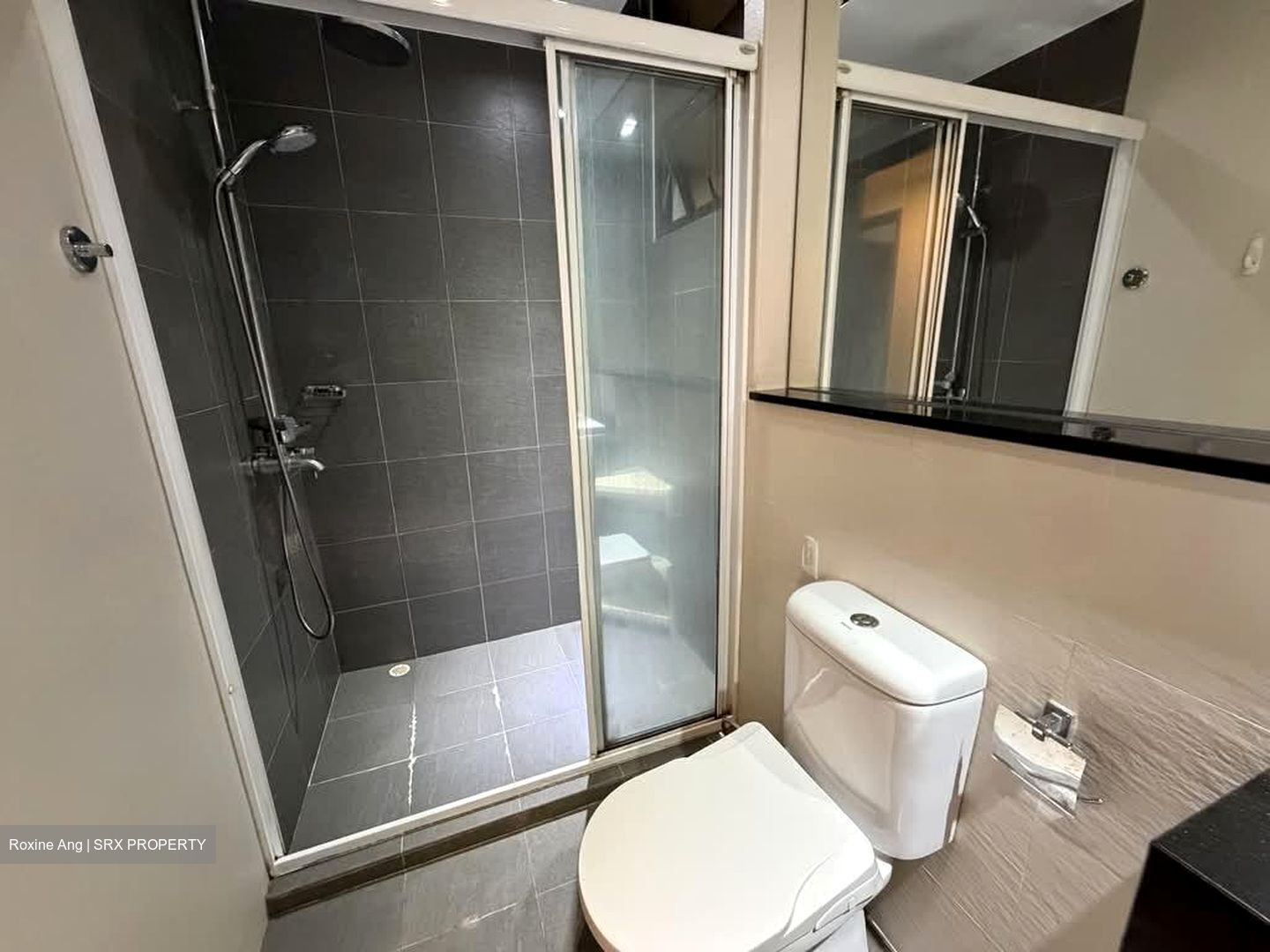 Seletaris (D27), Condominium #569148001